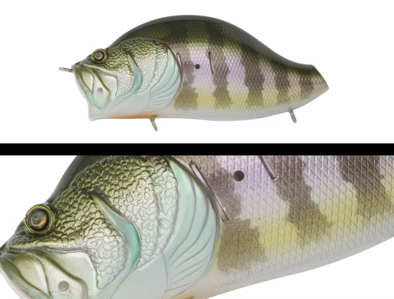 ADUSTA ZACRAWL YAJIROBEE