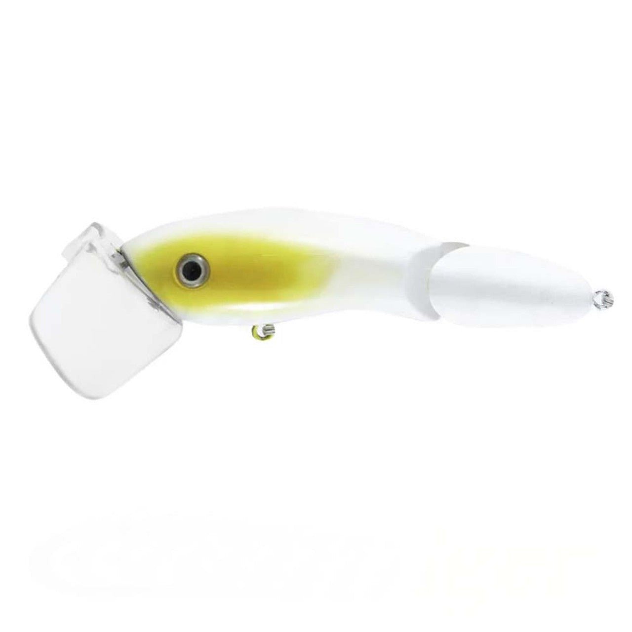 CODGER TOPWATER