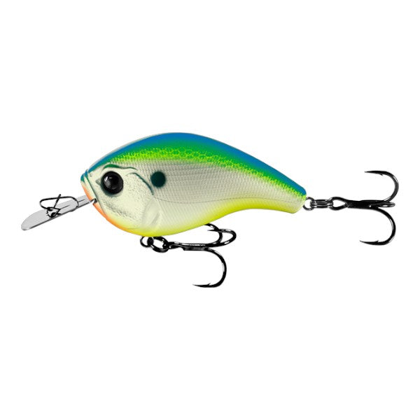 13 FISHING JABBER JAW