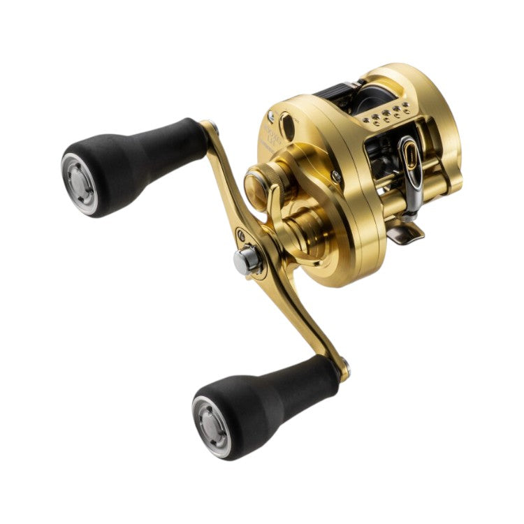 SHIMANO CALCUTTA CONQUEST MD 300XGLH – Tamworth Fishing Tackle and