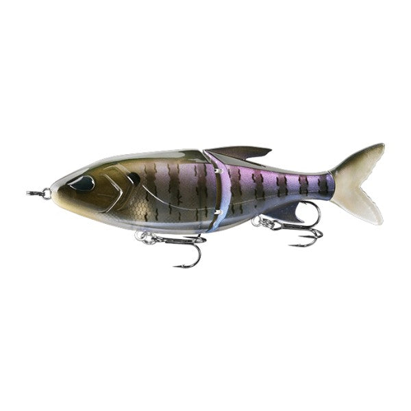 13 FISHING GLIDESDALE