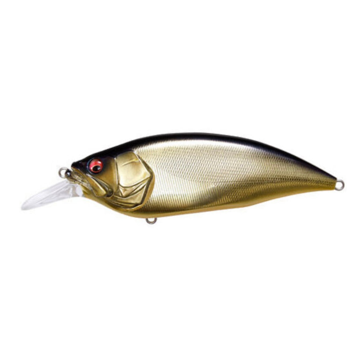 MEGABASS BIG M