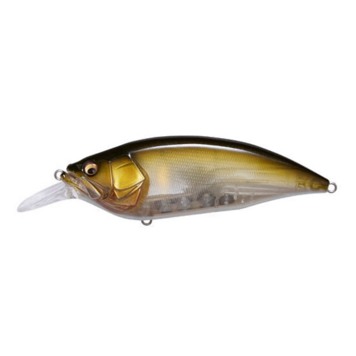 MEGABASS BIG M
