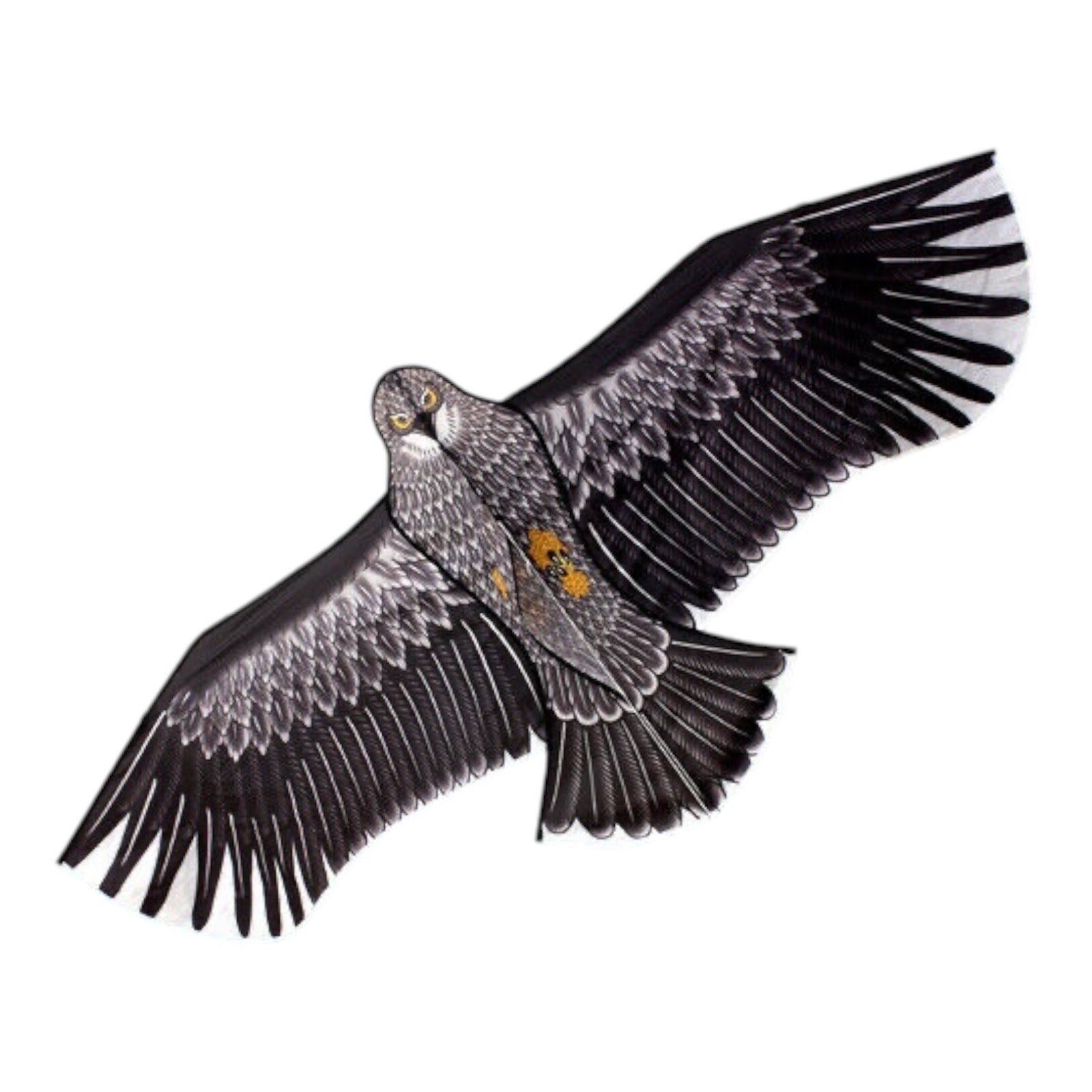 OCEAN BREEZE EAGLE KITE