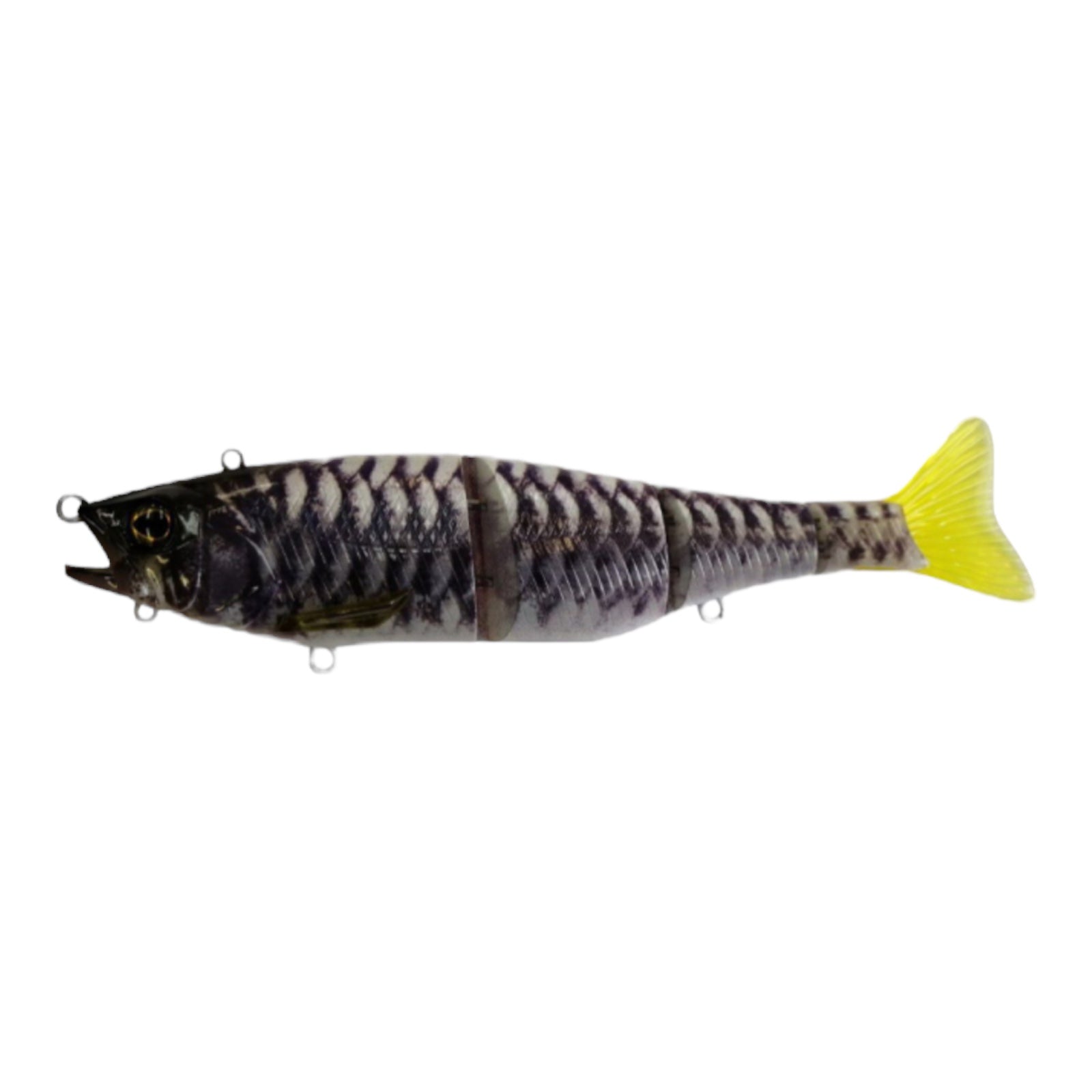 JACKALL GANTIA