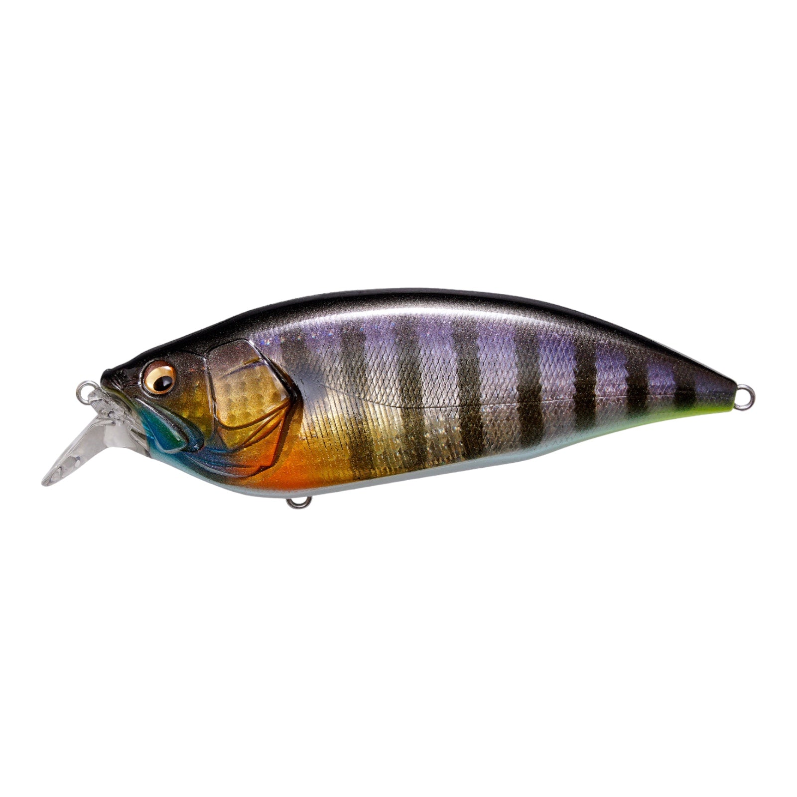 MEGABASS BIG M