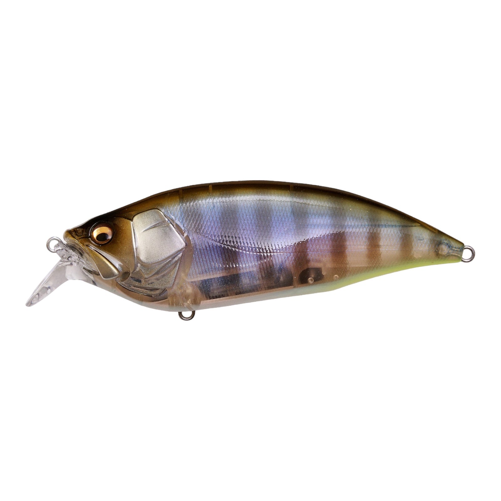 MEGABASS BIG M