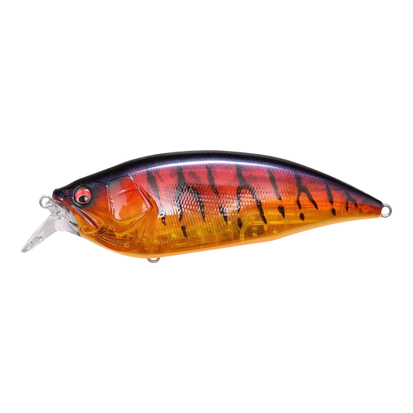 MEGABASS BIG M