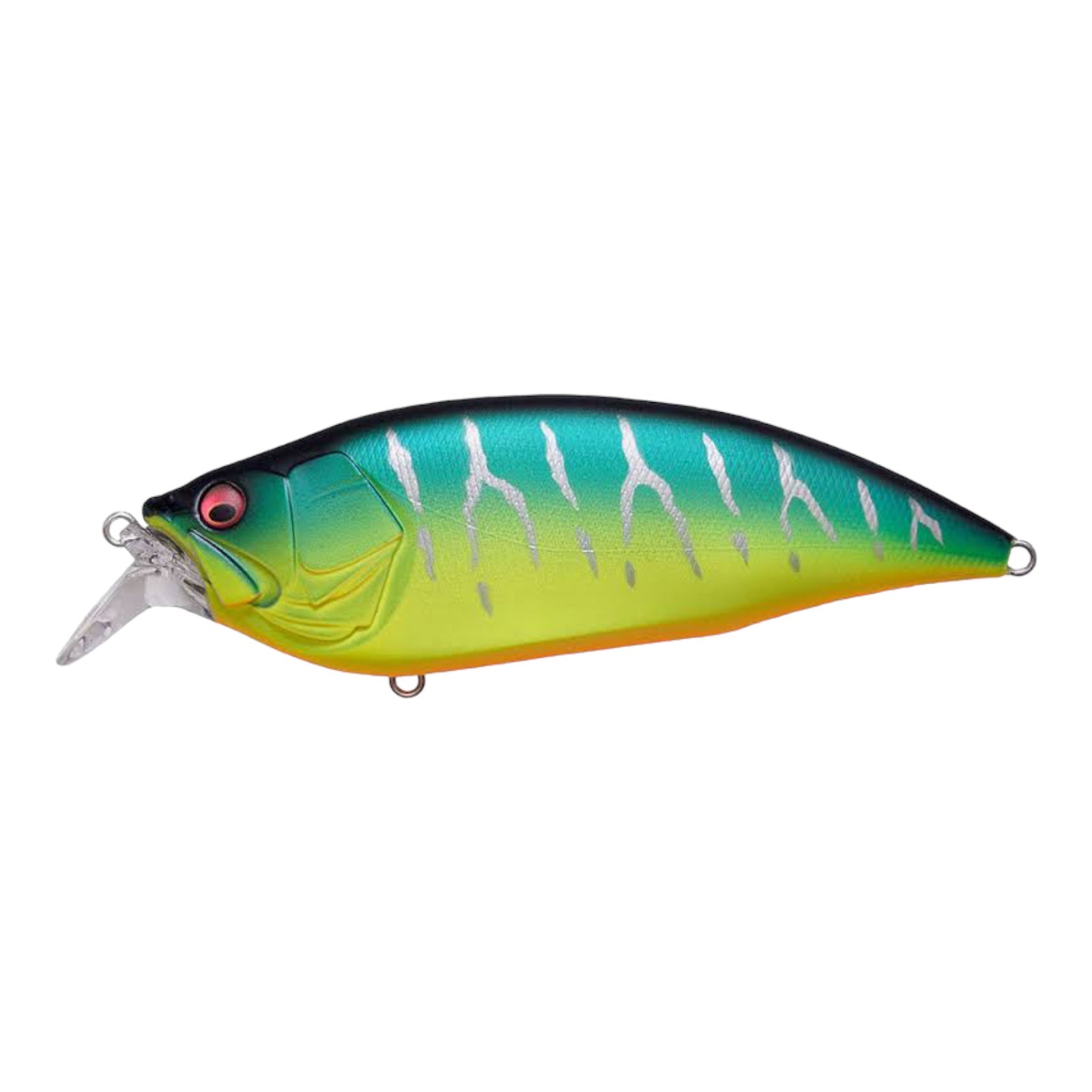 MEGABASS BIG M
