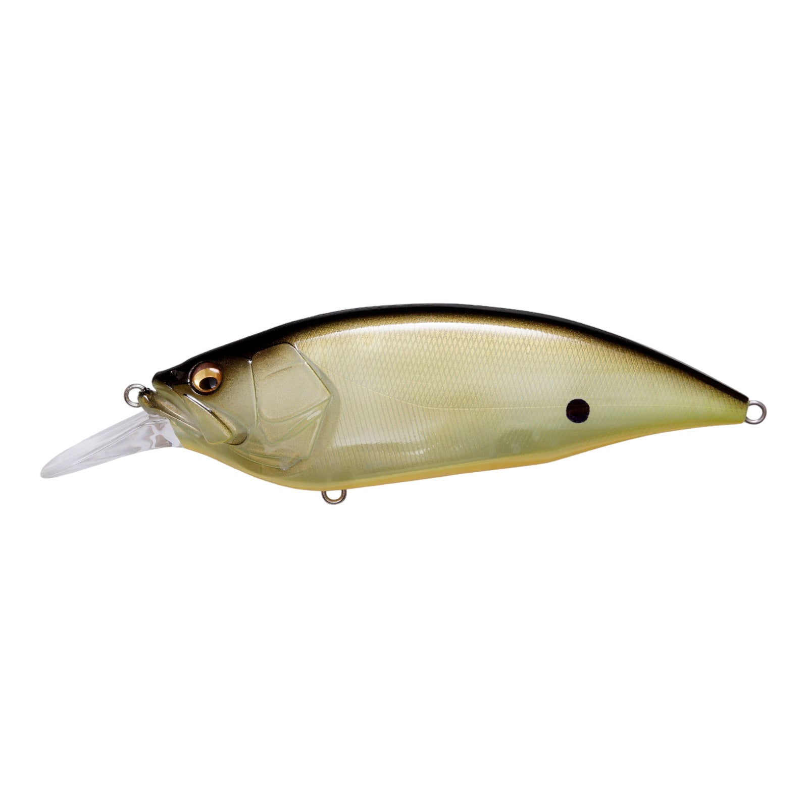 MEGABASS BIG M