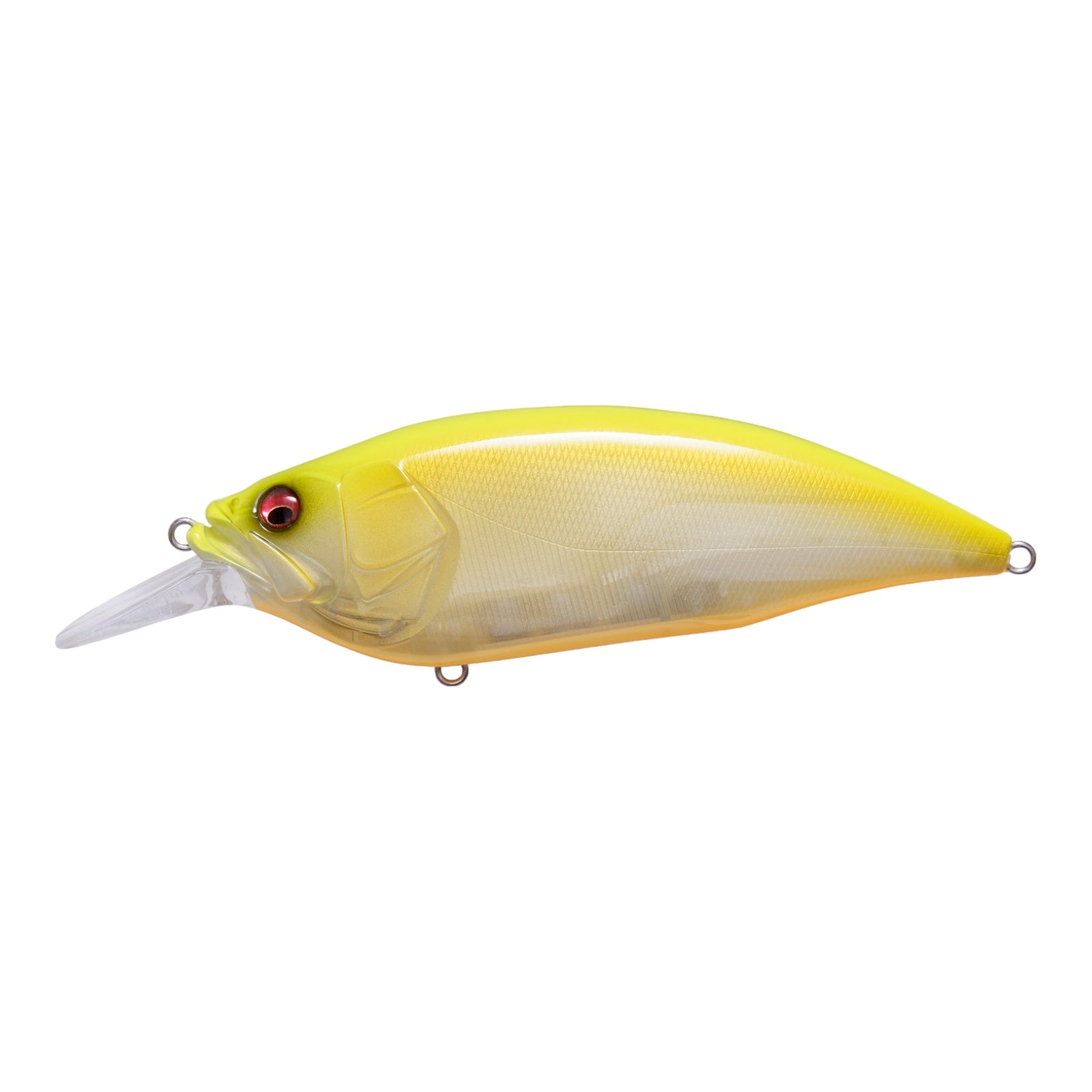 MEGABASS BIG M