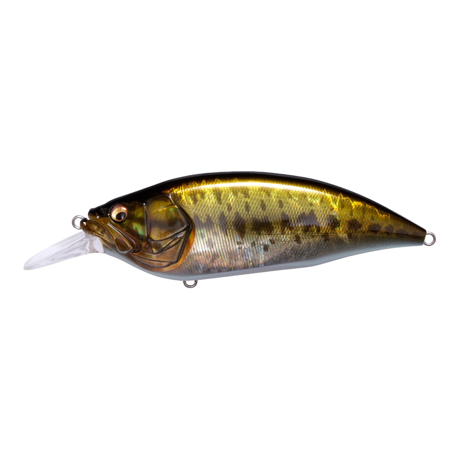 MEGABASS BIG M