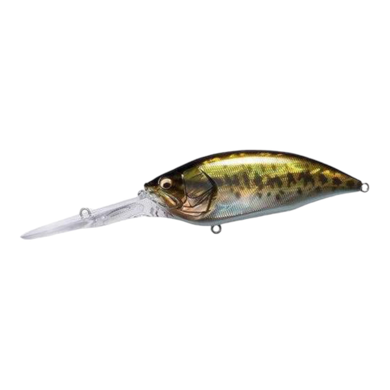 MEGABASS BIG M