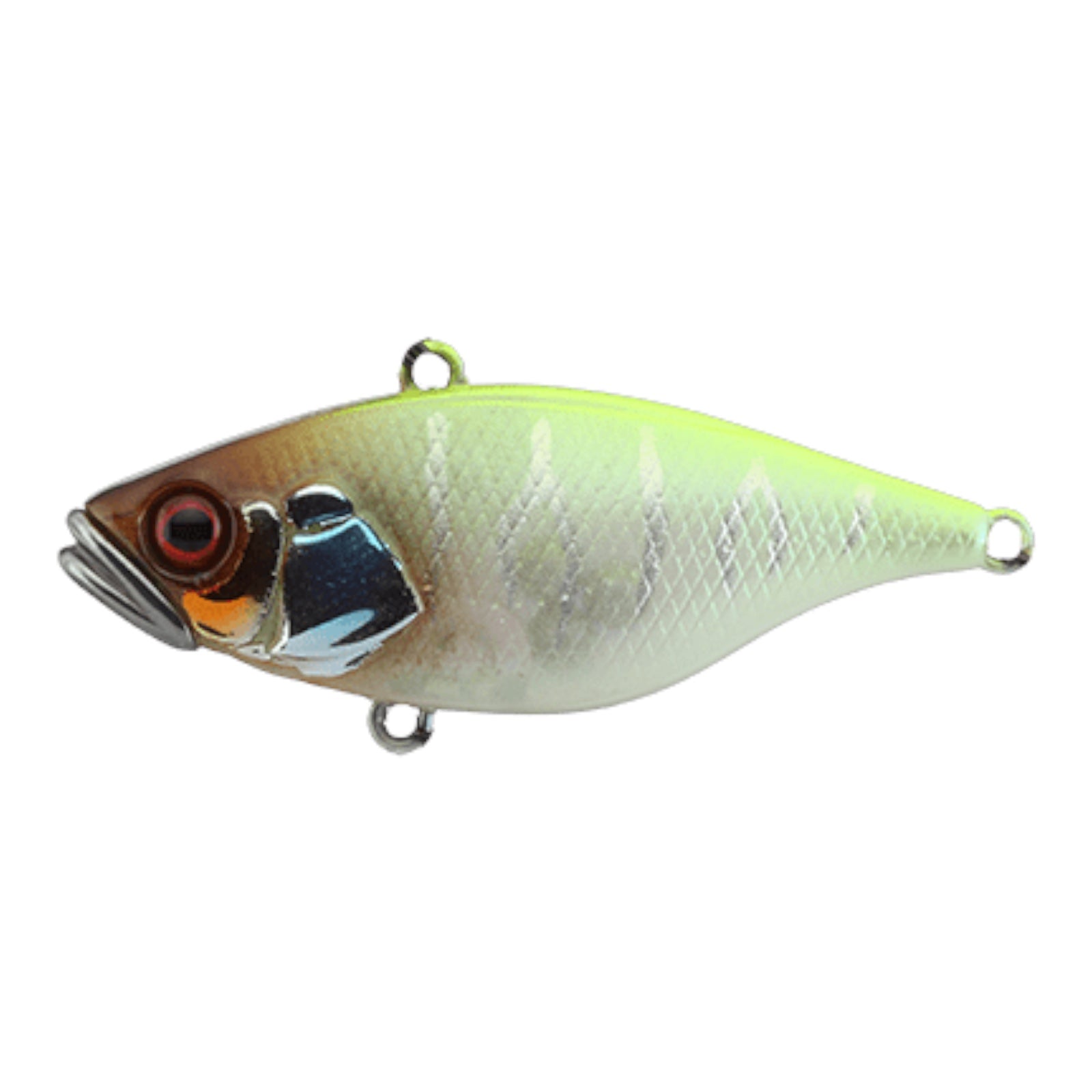 JACKALL TN38