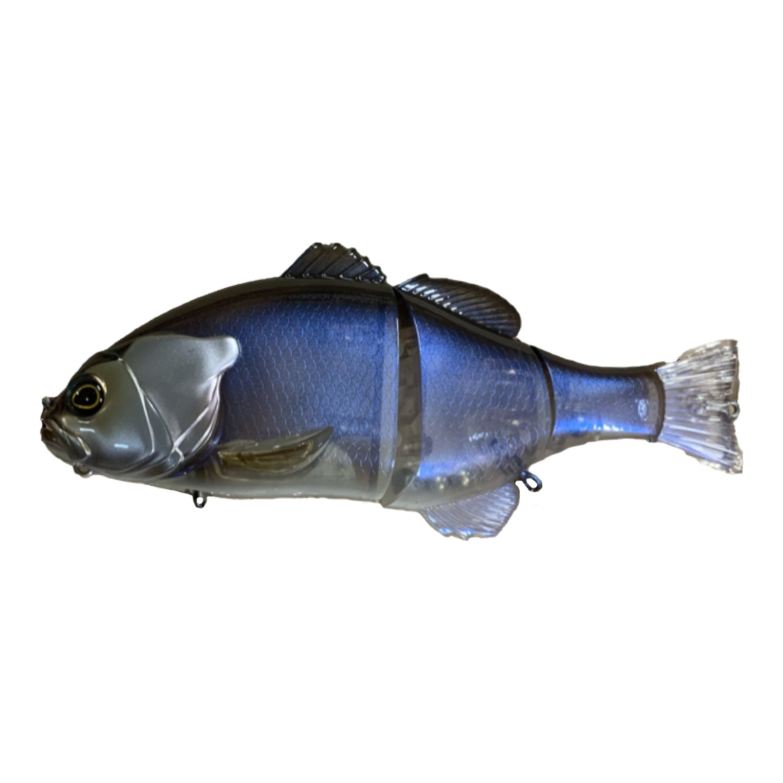 JACKALL GIGANTAREL