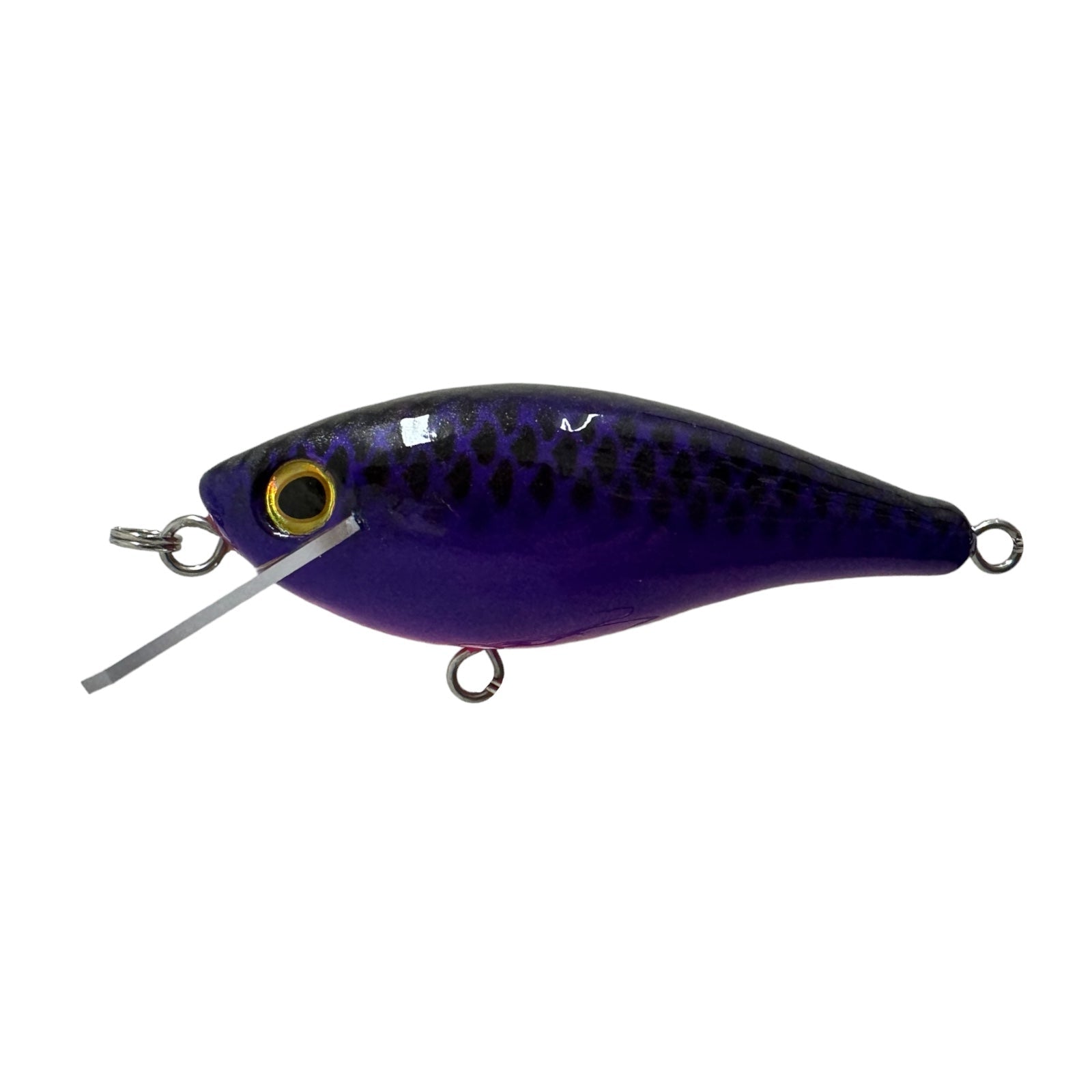 JOLLIP LURES RIPPER 80 SR