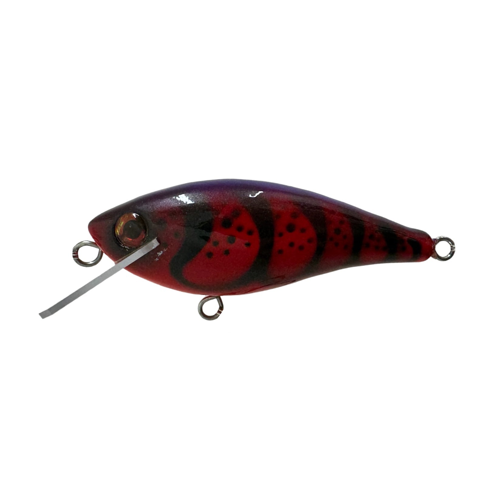 JOLLIP LURES RIPPER 80 SR