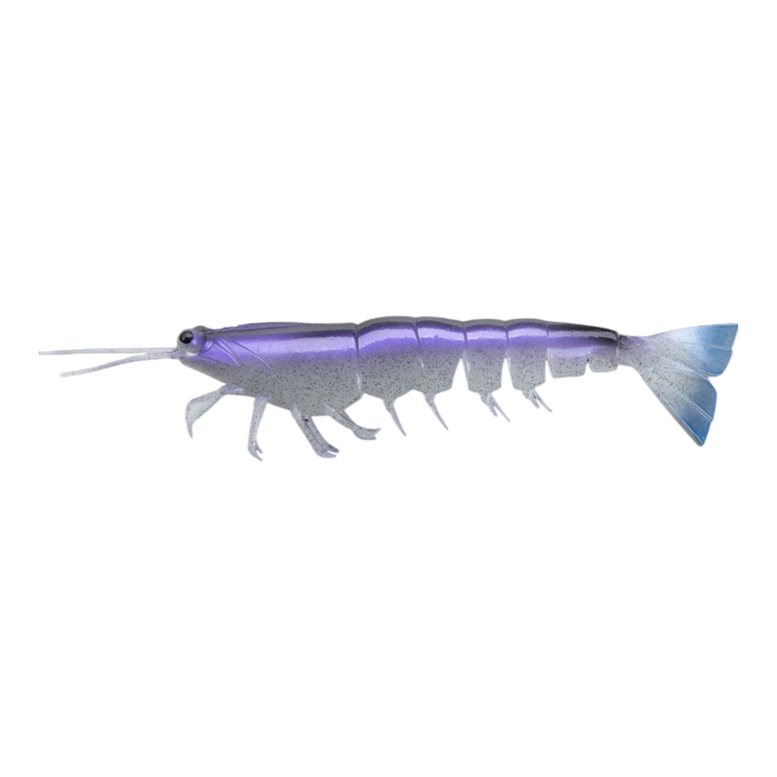 IRUKANDJI MEGAPRAWN