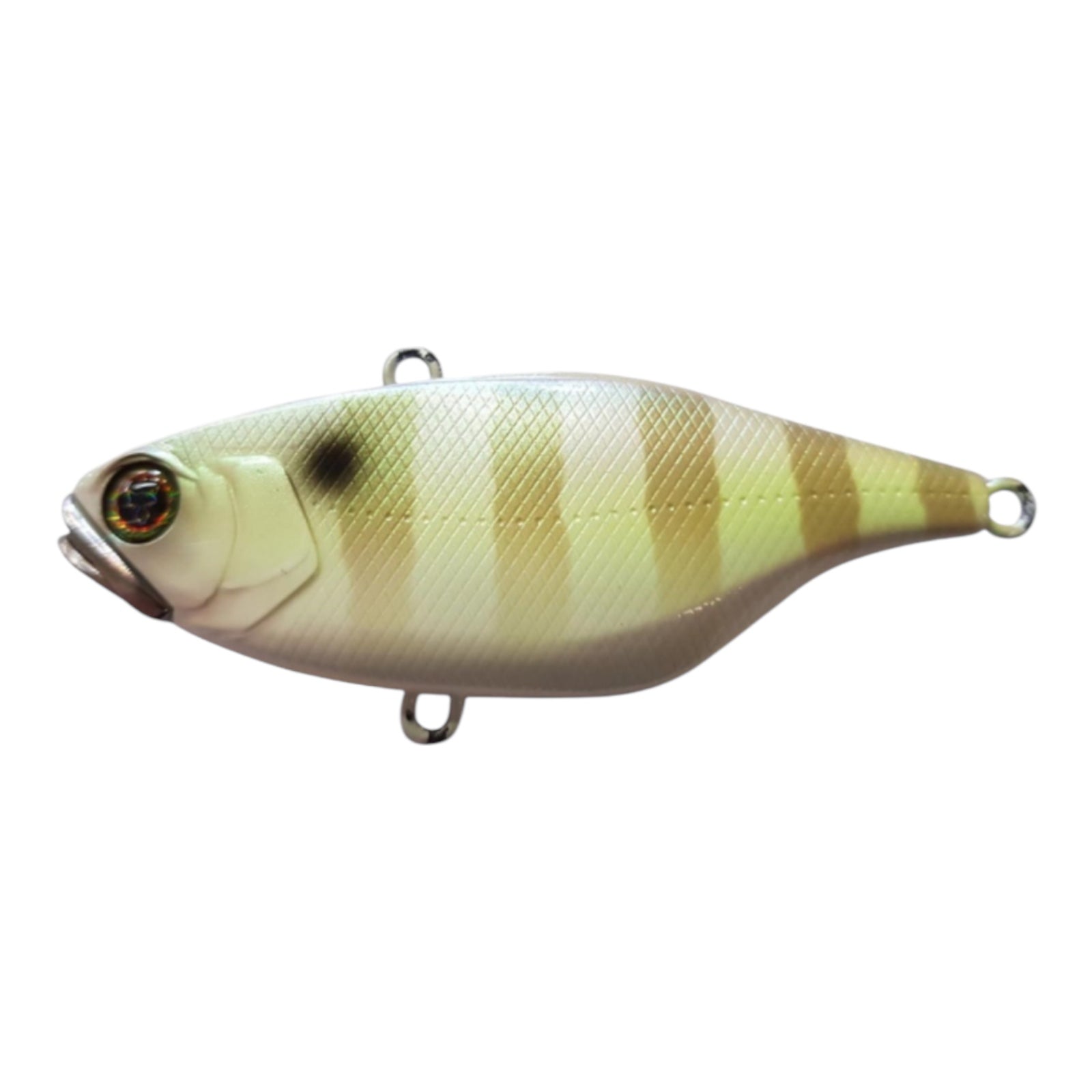 JACKALL TN80