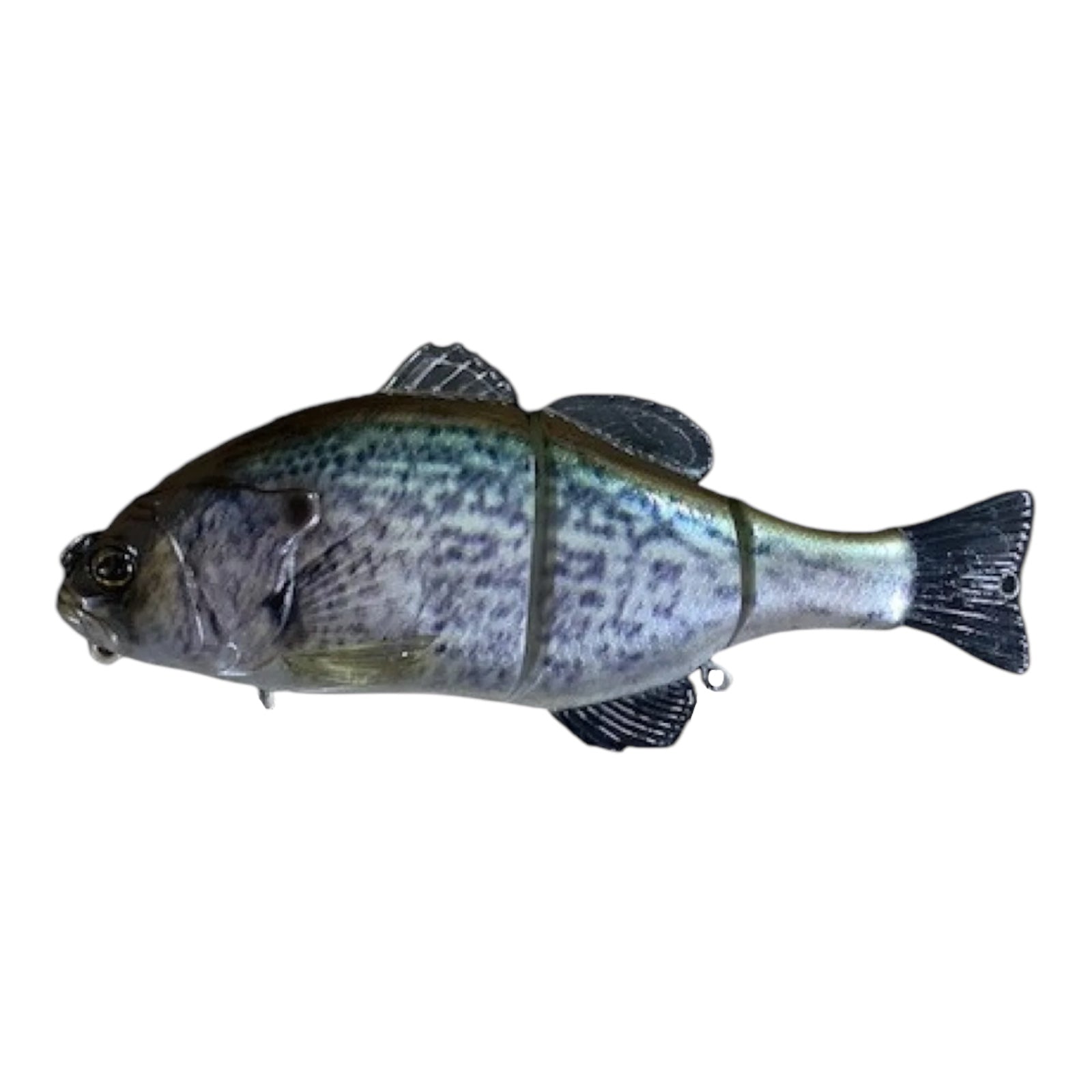 JACKALL CHIBITAREL