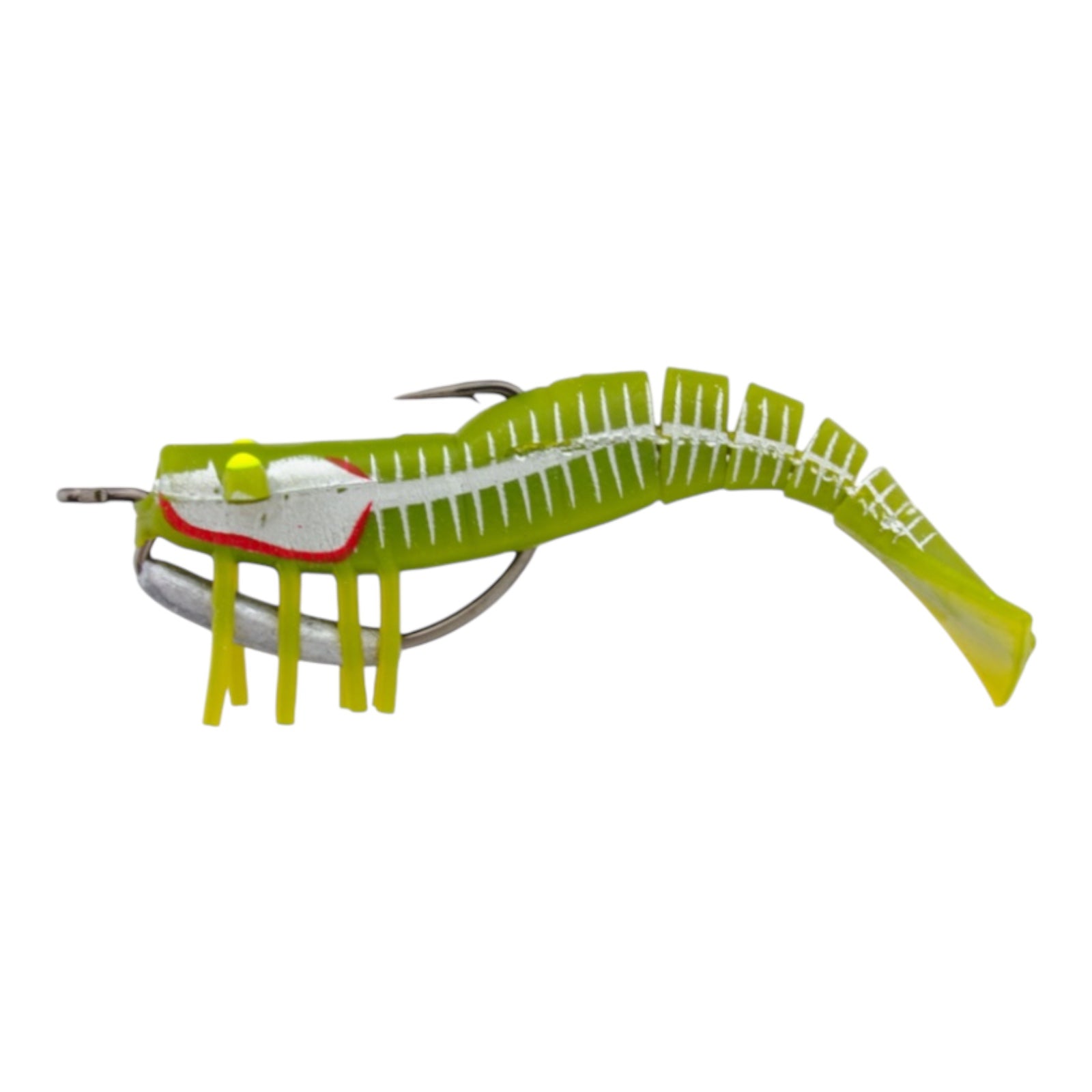 ZEREK LIVE SHRIMP