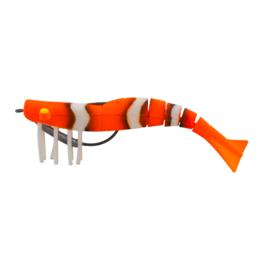 ZEREK LIVE SHRIMP