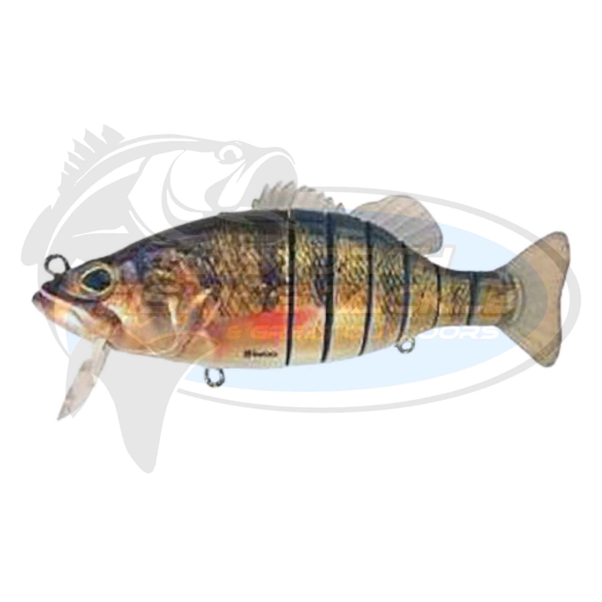 BIWAA SWIMBASS