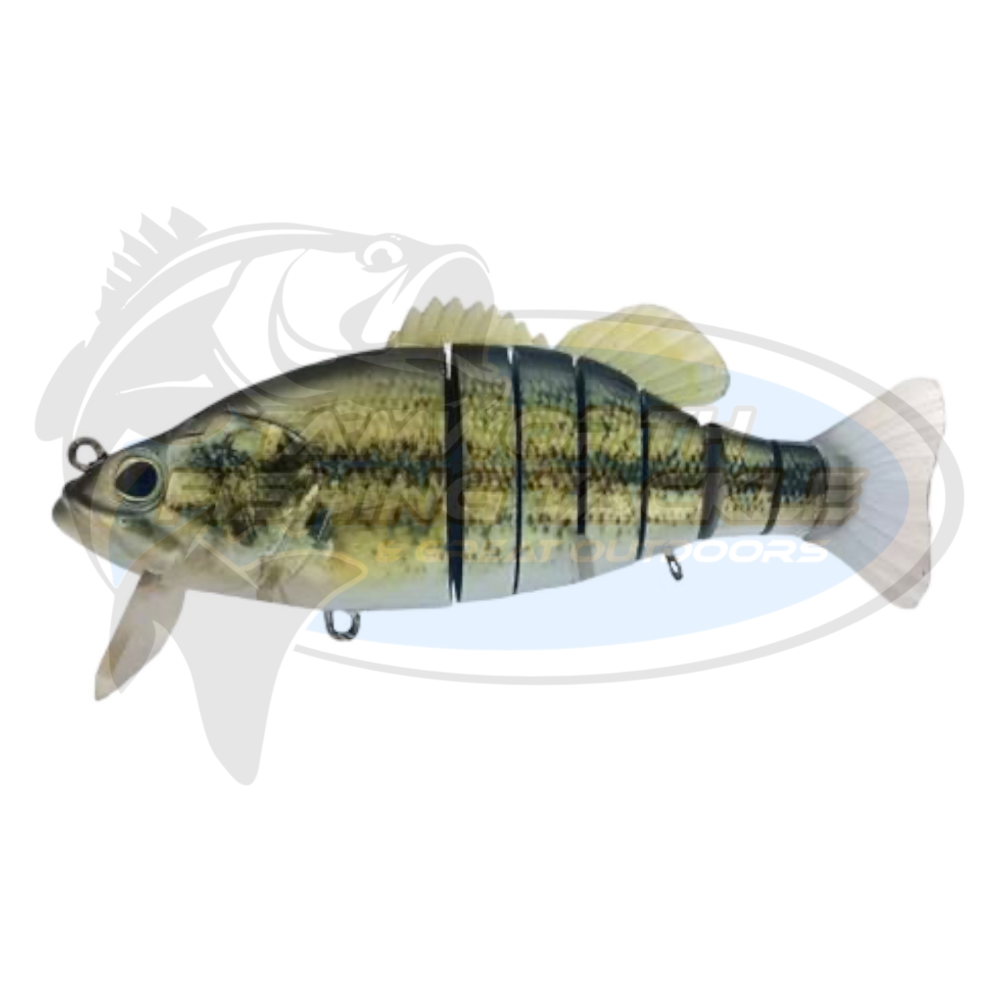 BIWAA SWIMBASS