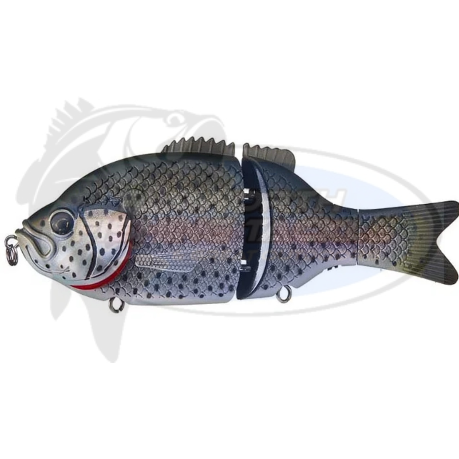 BAITSANITY EXPLORER GILL
