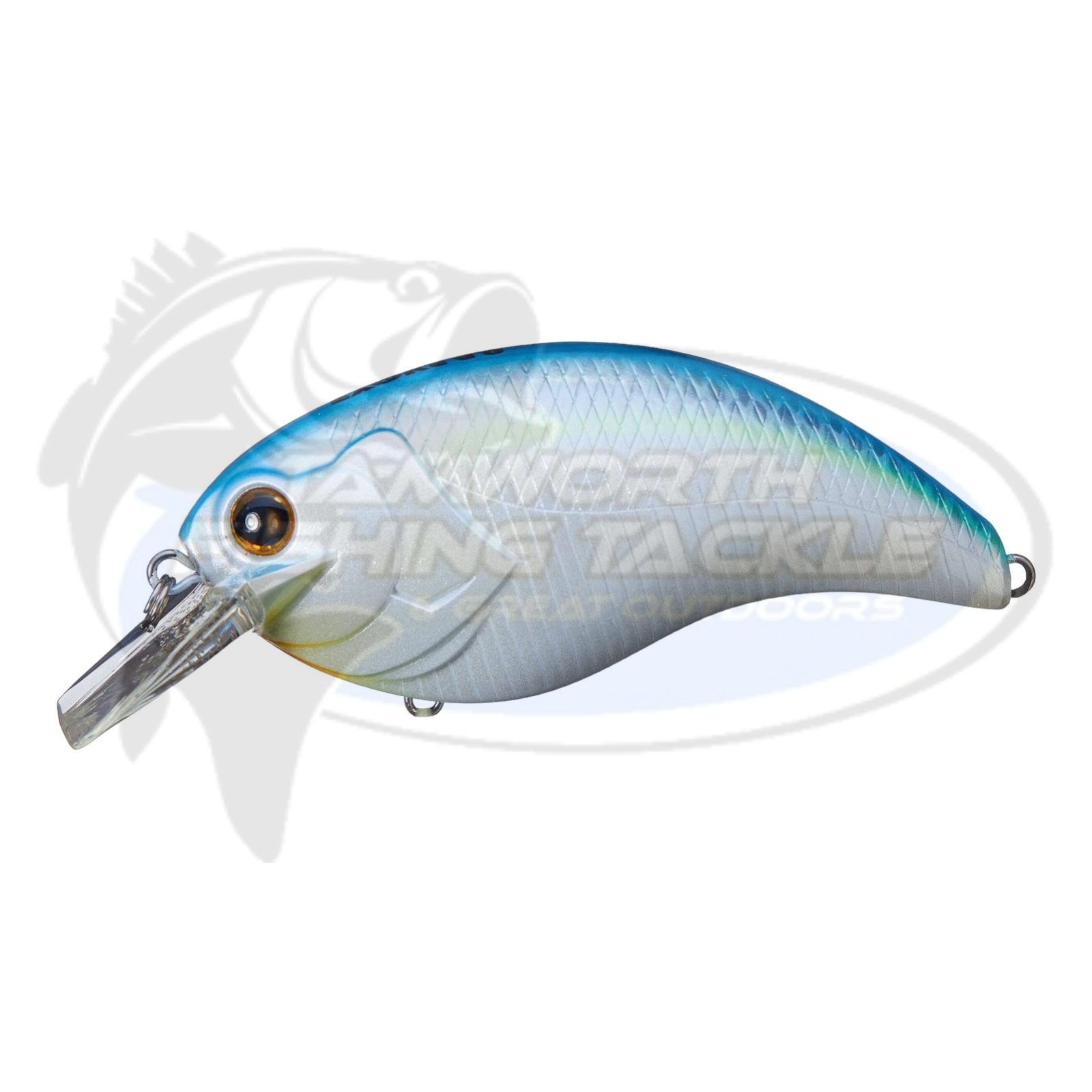 DEPS EVOKE