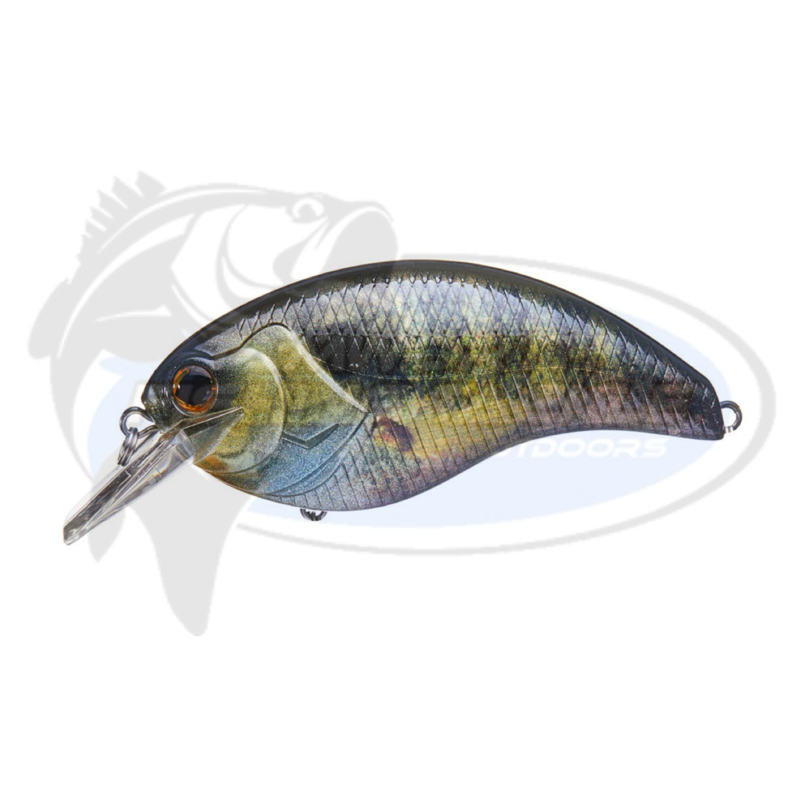 DEPS EVOKE