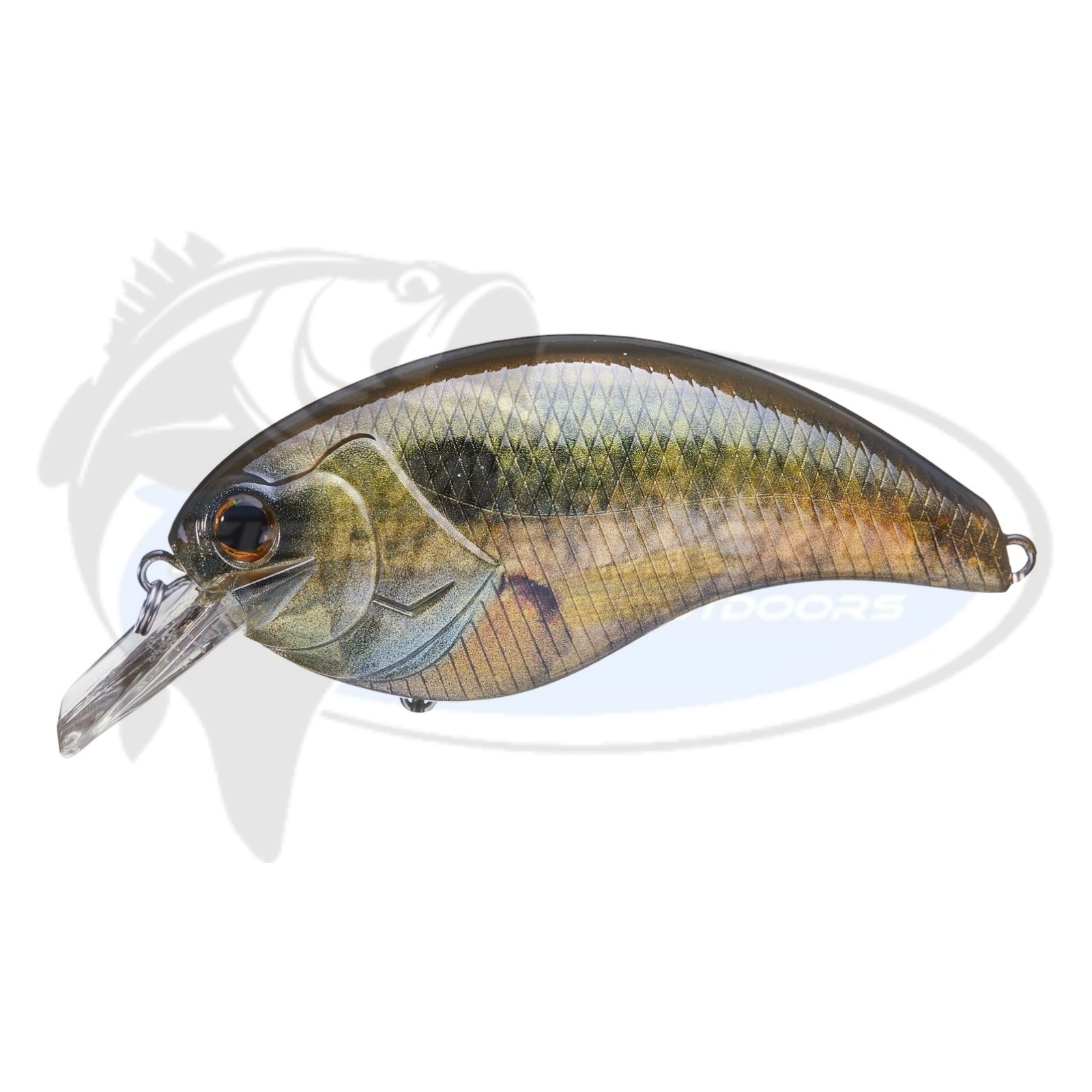 DEPS EVOKE