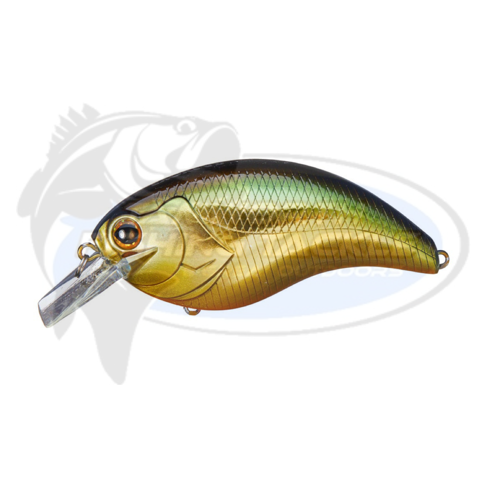 DEPS EVOKE