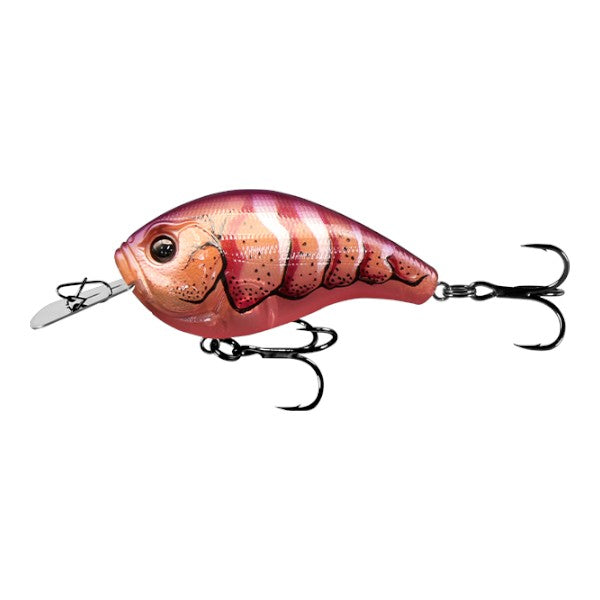 13 FISHING JABBER JAW