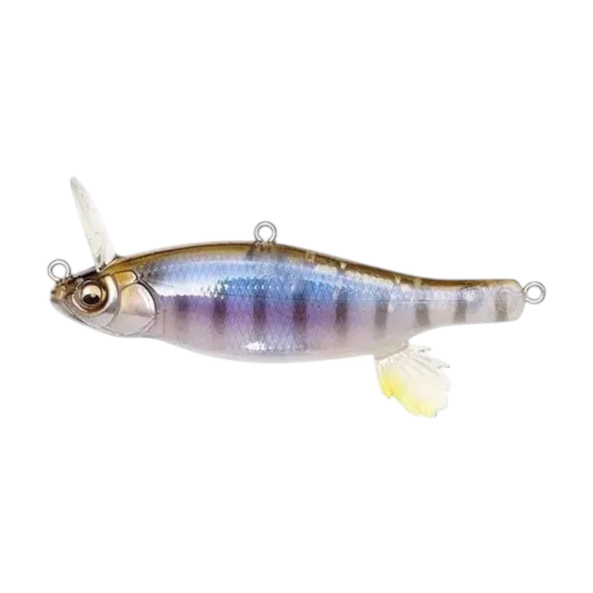 MEGABASS ANTHRAX
