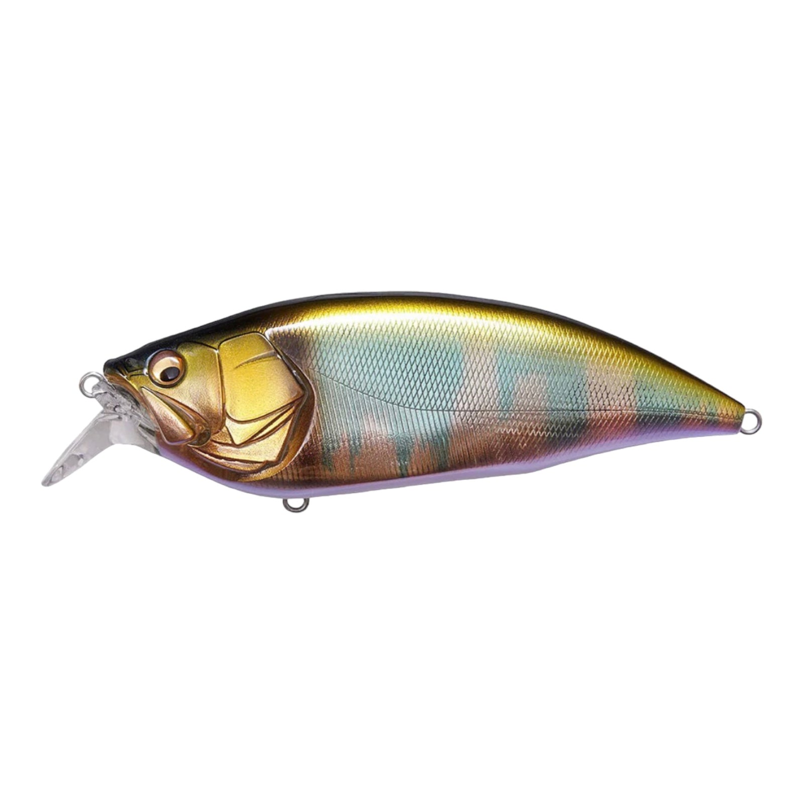 MEGABASS BIG M