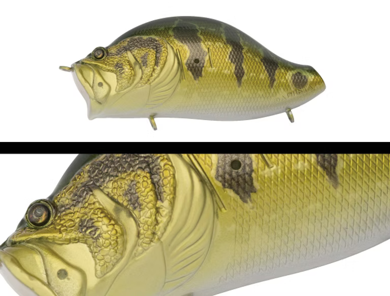 ADUSTA ZACRAWL YAJIROBEE