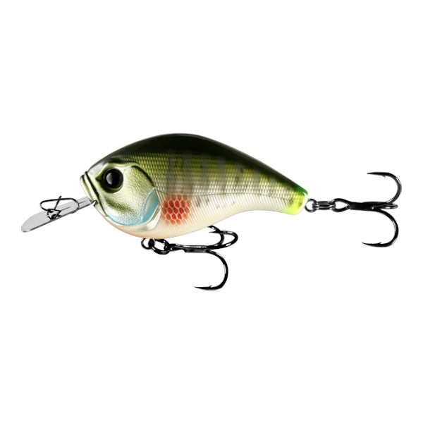 13 FISHING JABBER JAW