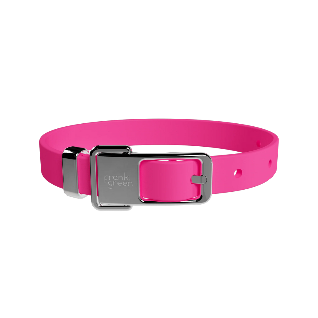 frank green Pet Collar