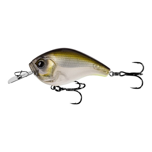 13 FISHING JABBER JAW