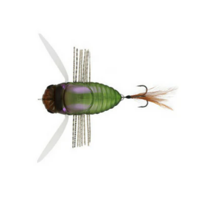 REALIS SHINMUSHI BEETLE