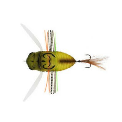 REALIS SHINMUSHI BEETLE