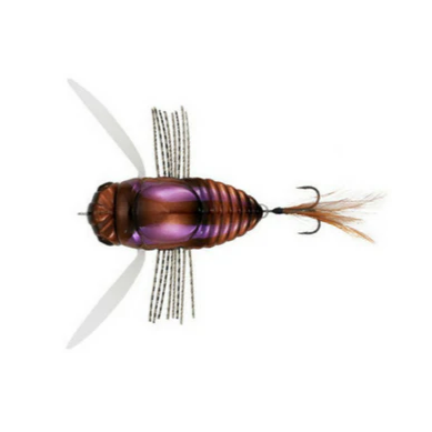 REALIS SHINMUSHI BEETLE