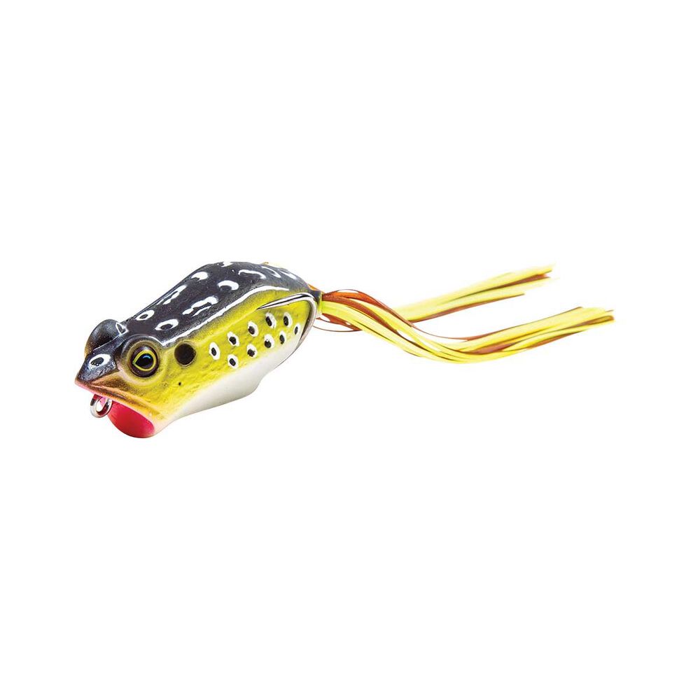 TT POPPING FROG