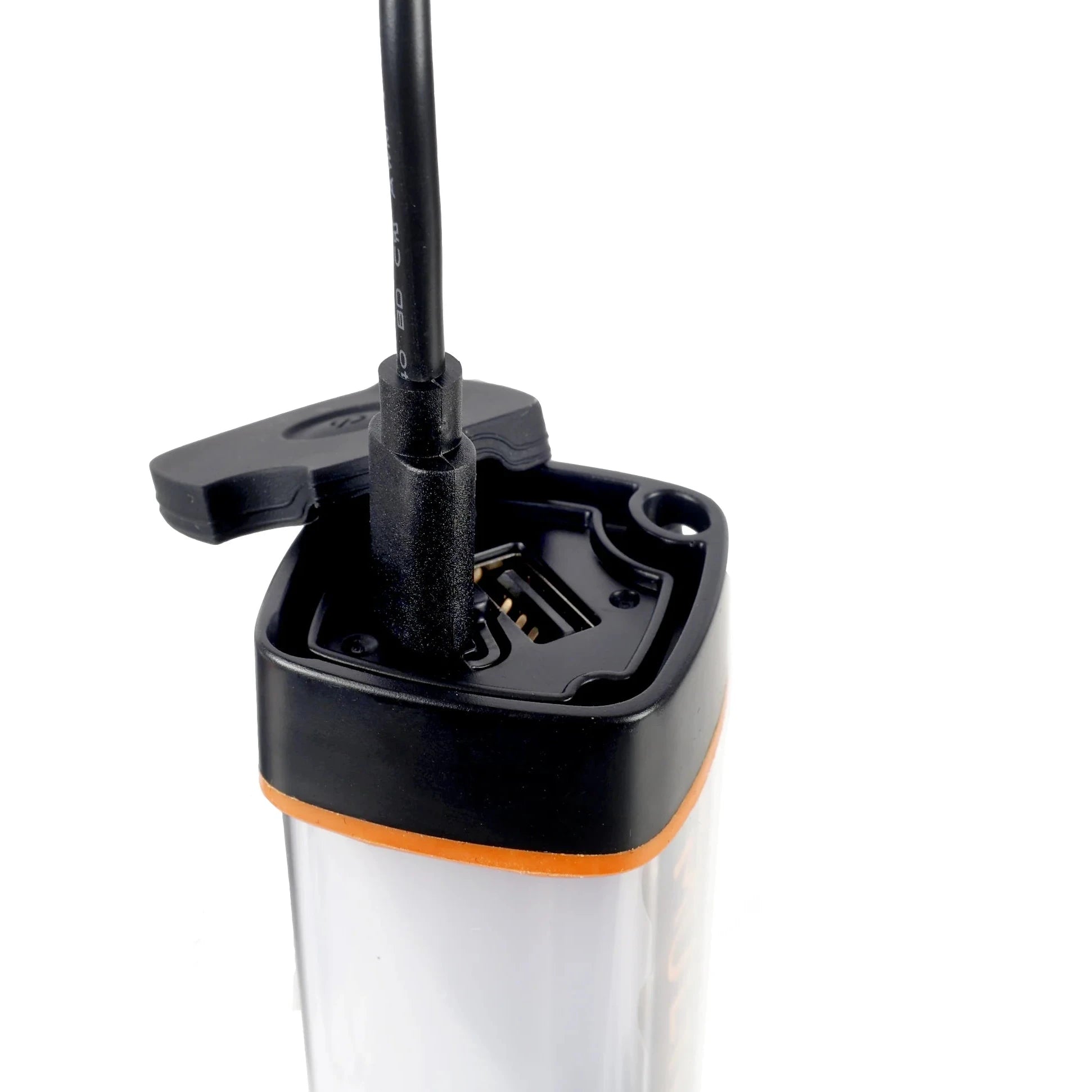 WILDTRAK BASE 300 MULTI LIGHT