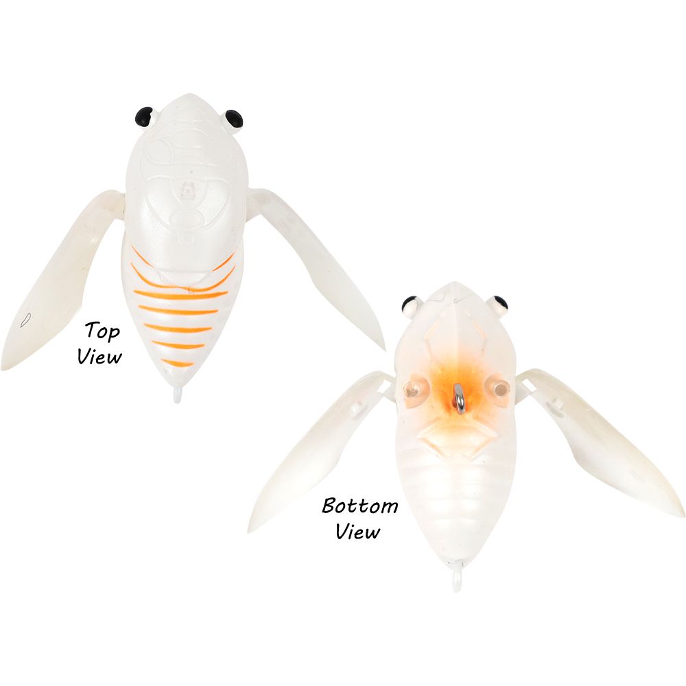 ATOMIC HARDZ CICADA 35