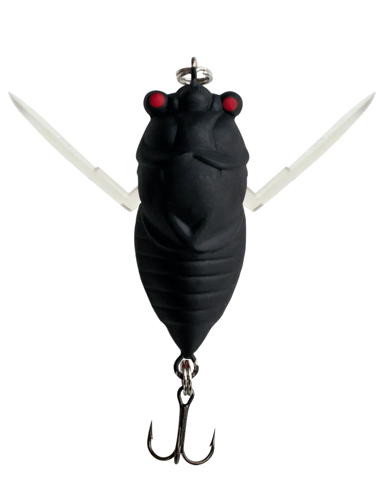 Profishent Humbug