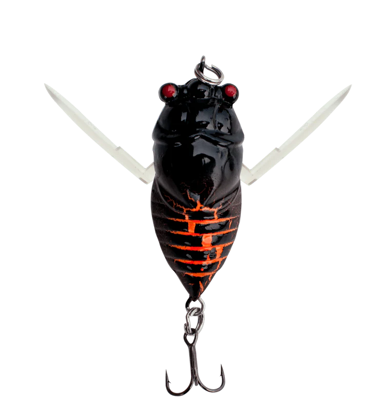Profishent Humbug