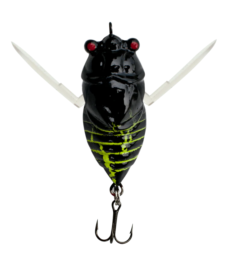 Profishent Humbug