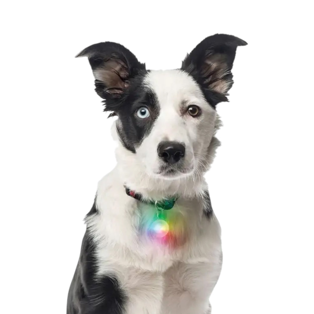 NITE IZE COLLAR LIGHT